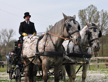 truffle hunting tours from florence