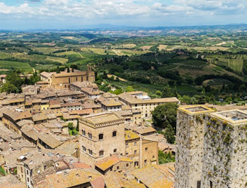 truffle hunting tours from florence