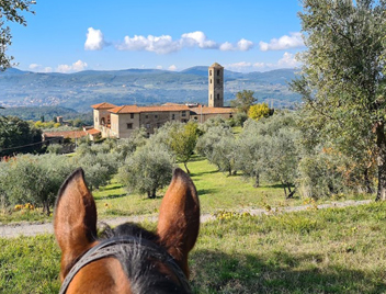 truffle hunting tours from florence