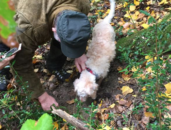 truffle hunting tours from florence