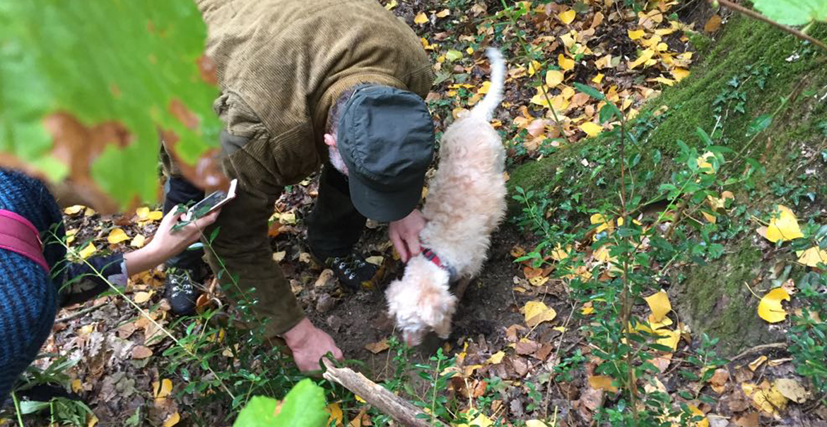 truffle hunting tours from florence